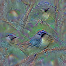 n01592084 chickadee